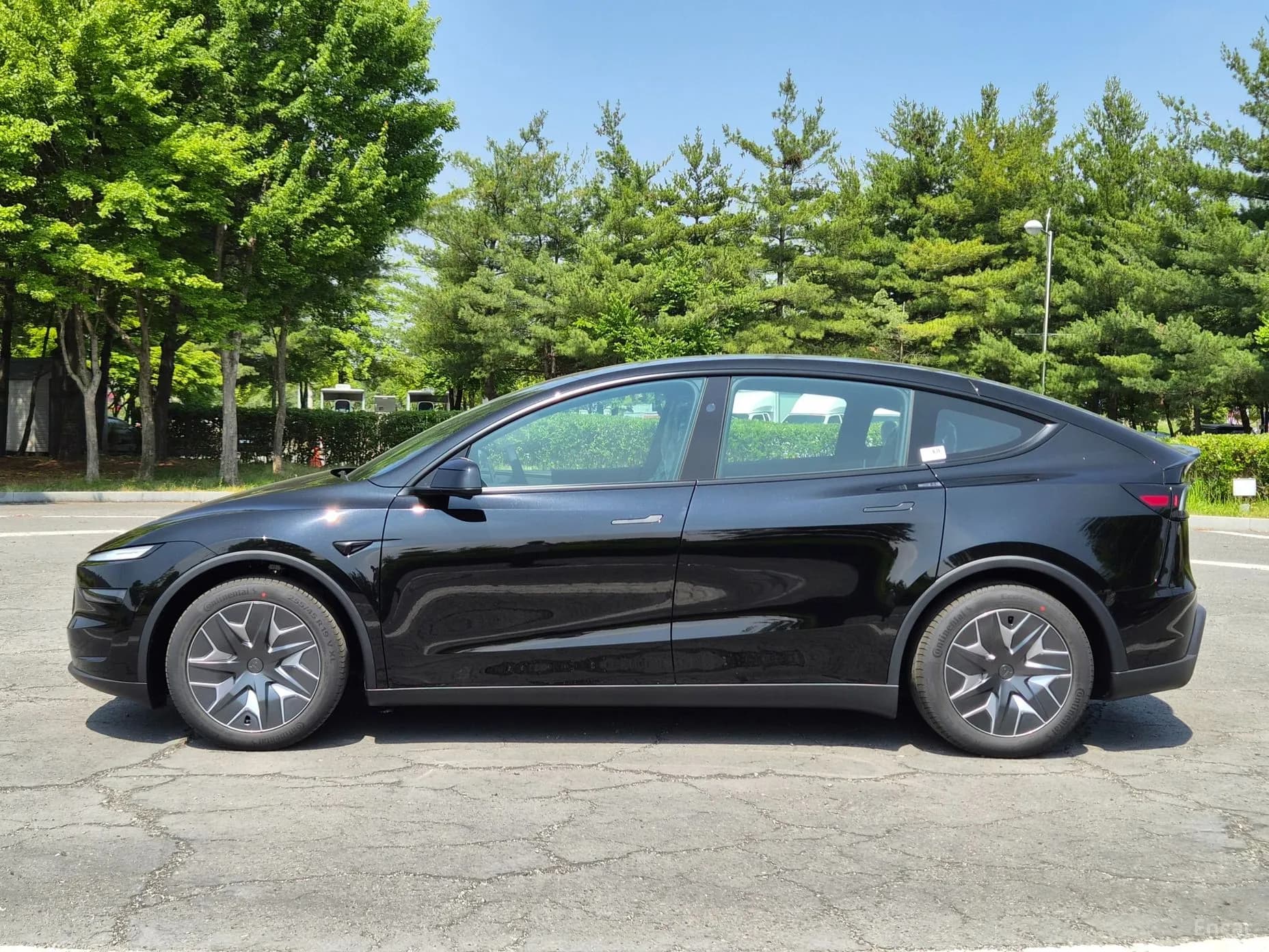 Model Y