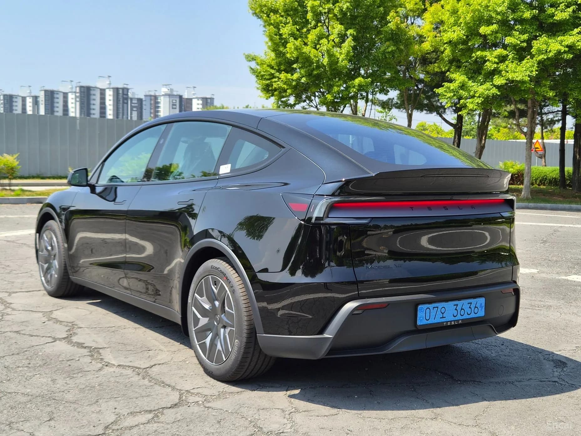 Model Y