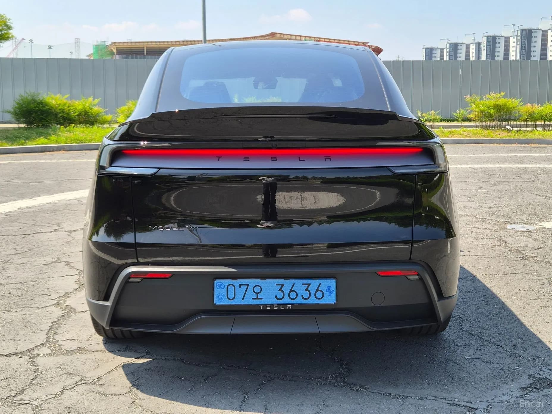 Model Y