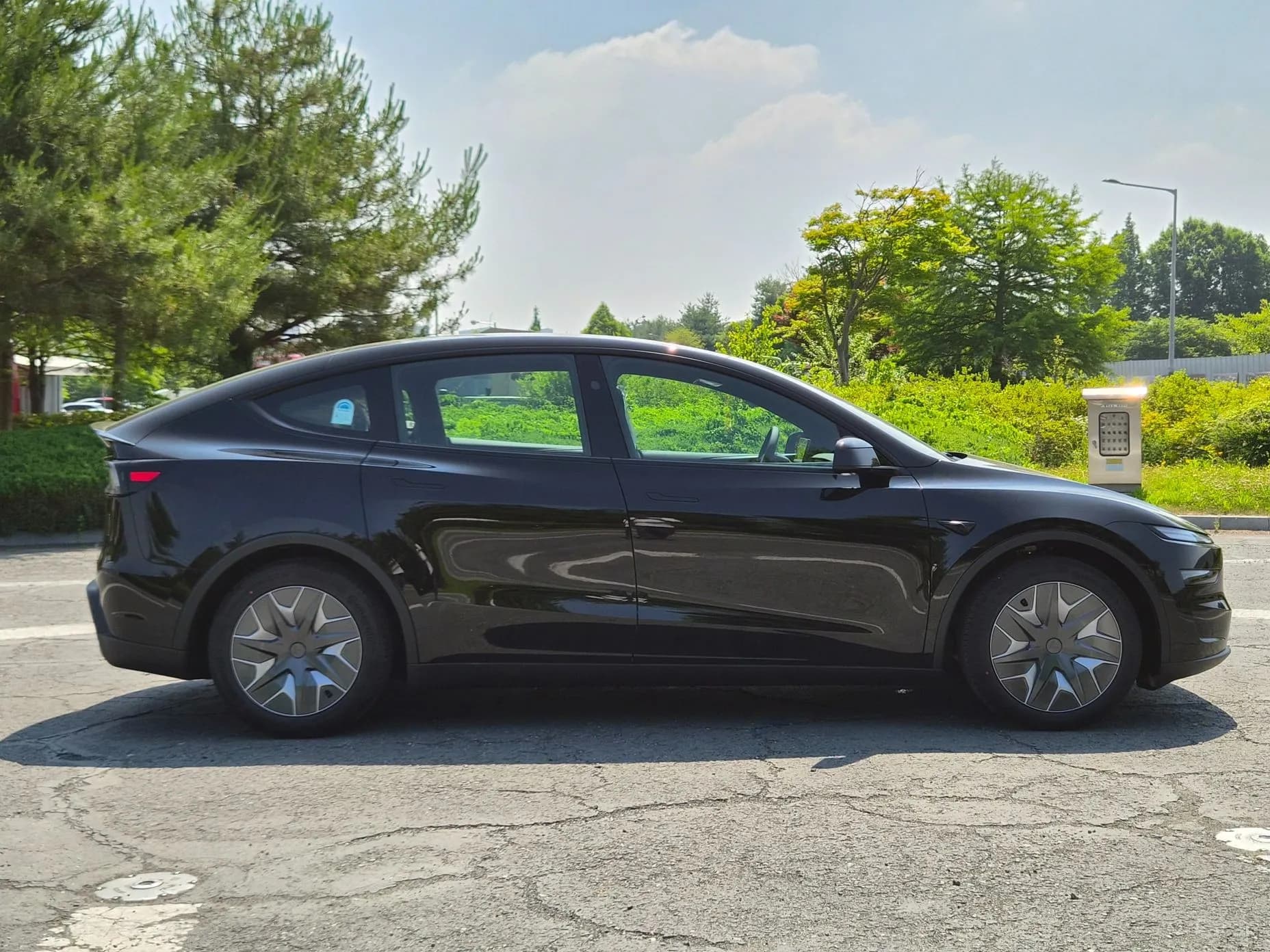 Model Y