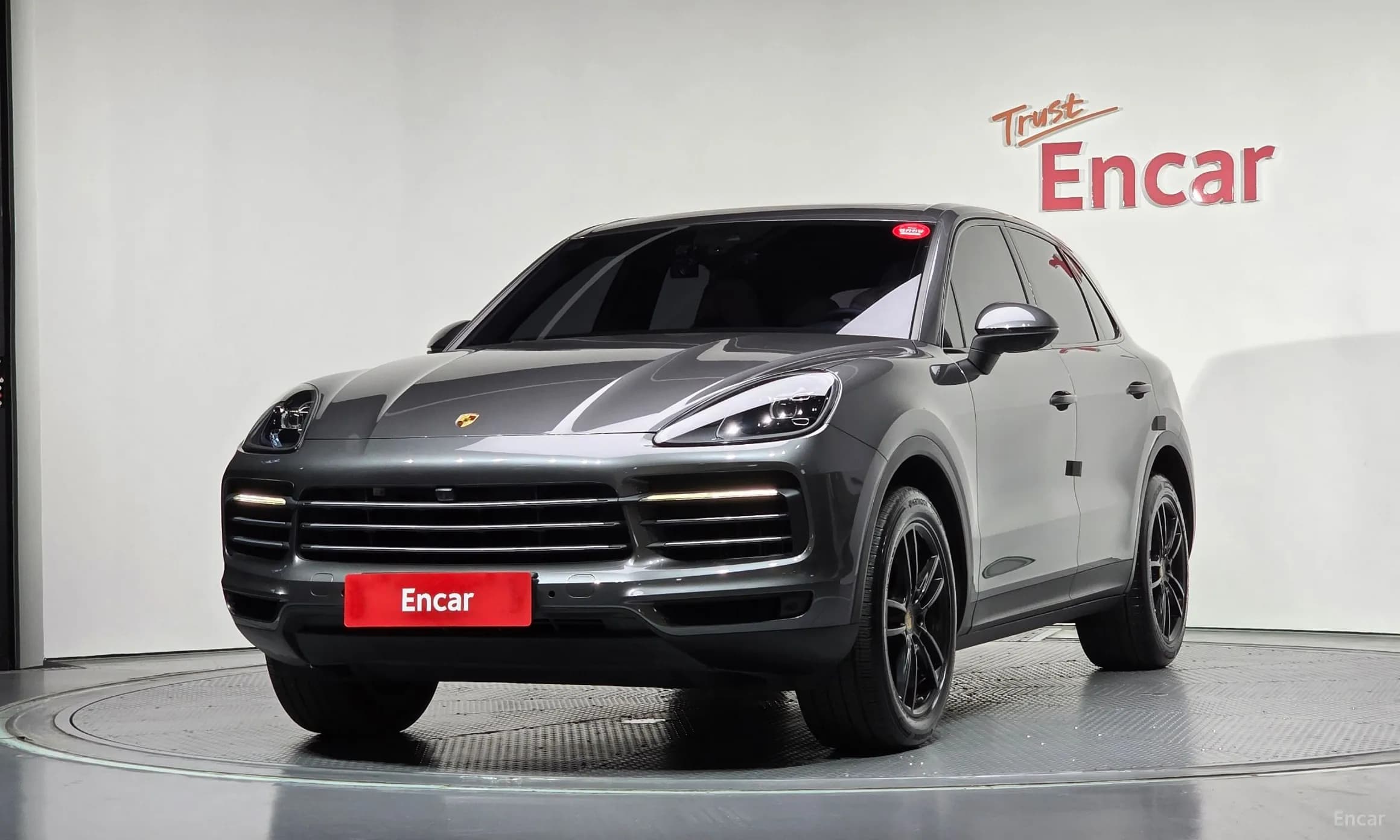 Cayenne (PO536)