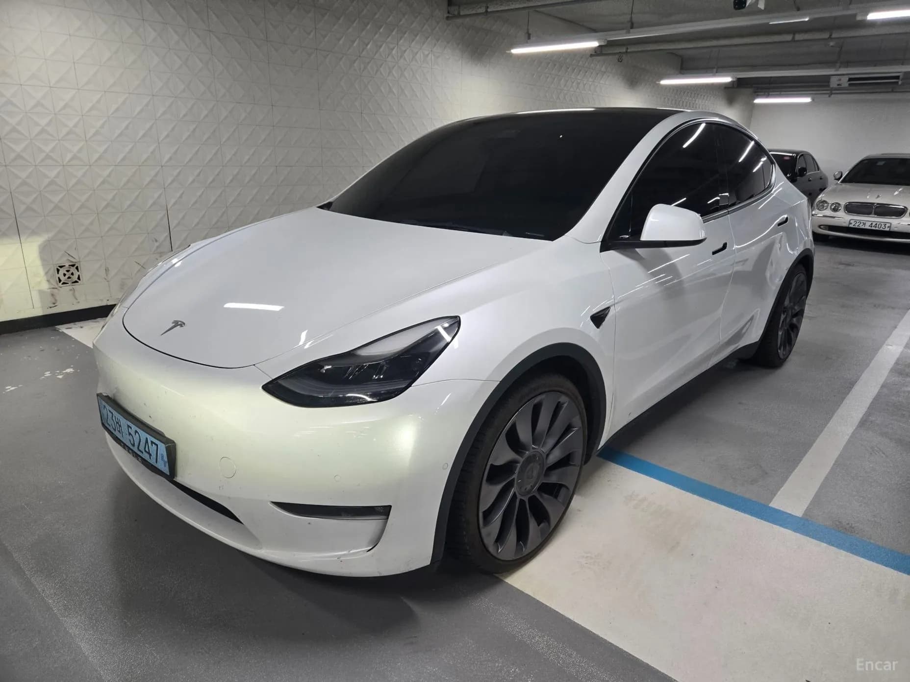 Model Y