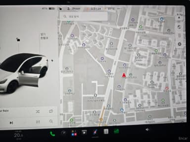 Model Y