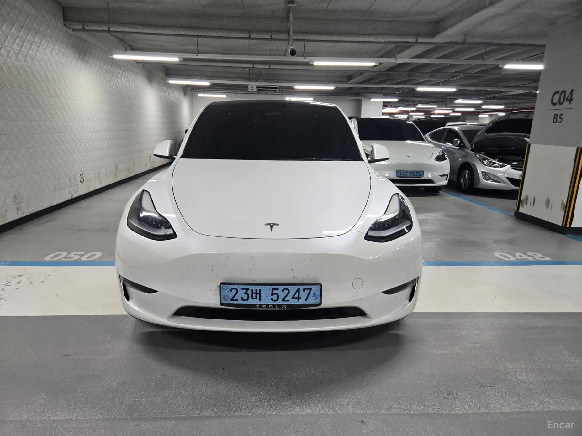 Model Y