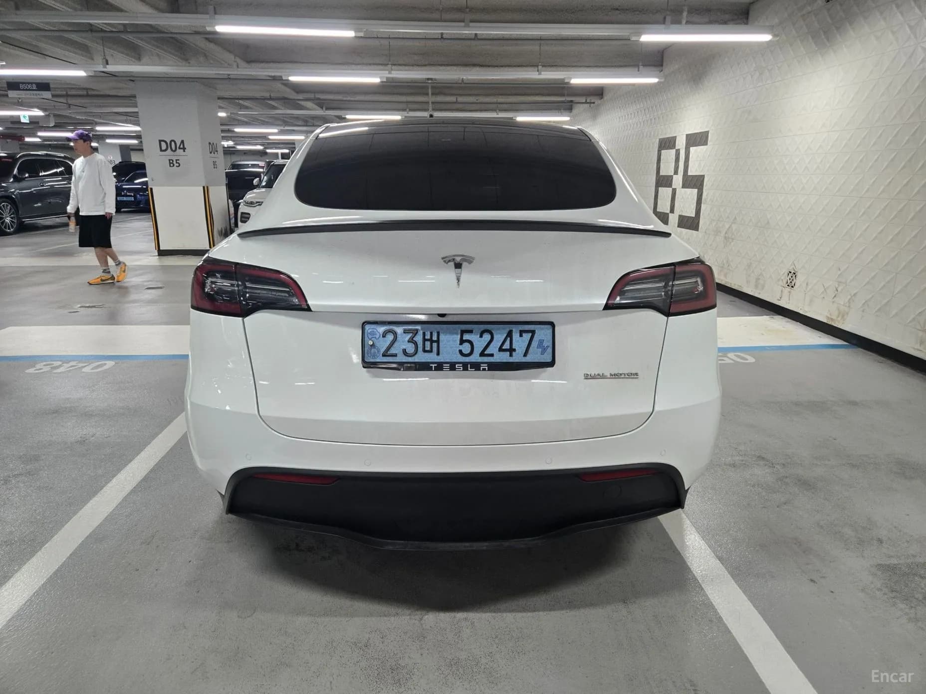 Model Y