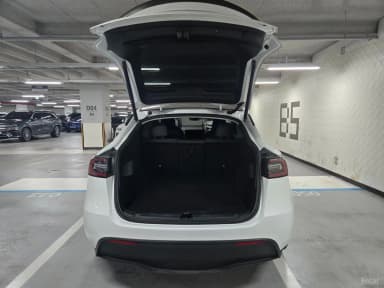 Model Y