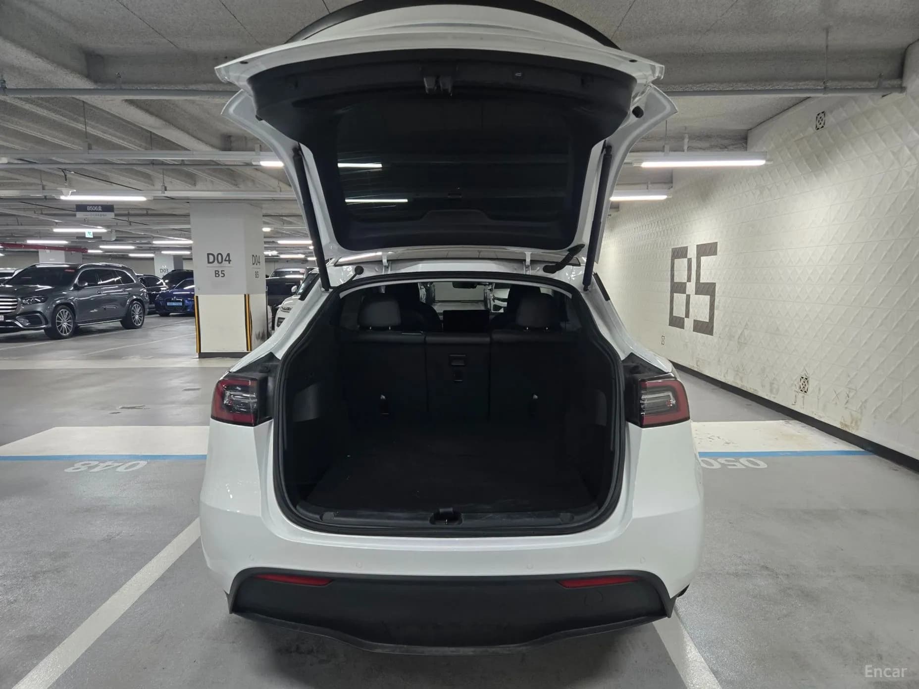 Model Y