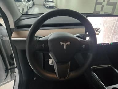 Model Y