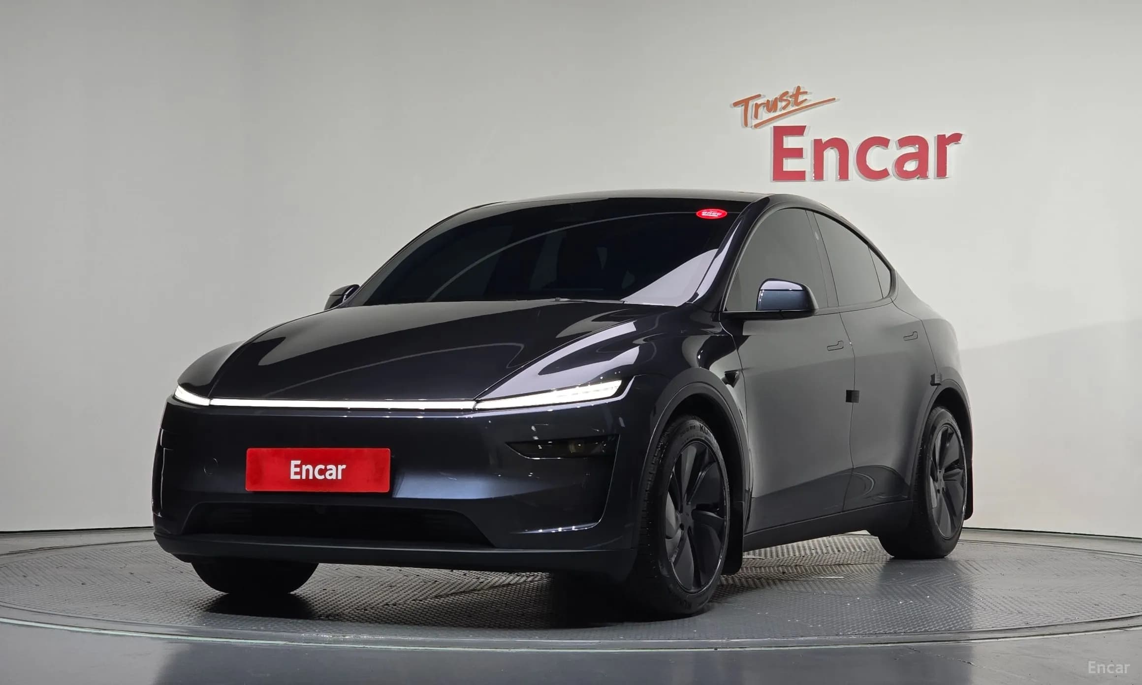 Model Y