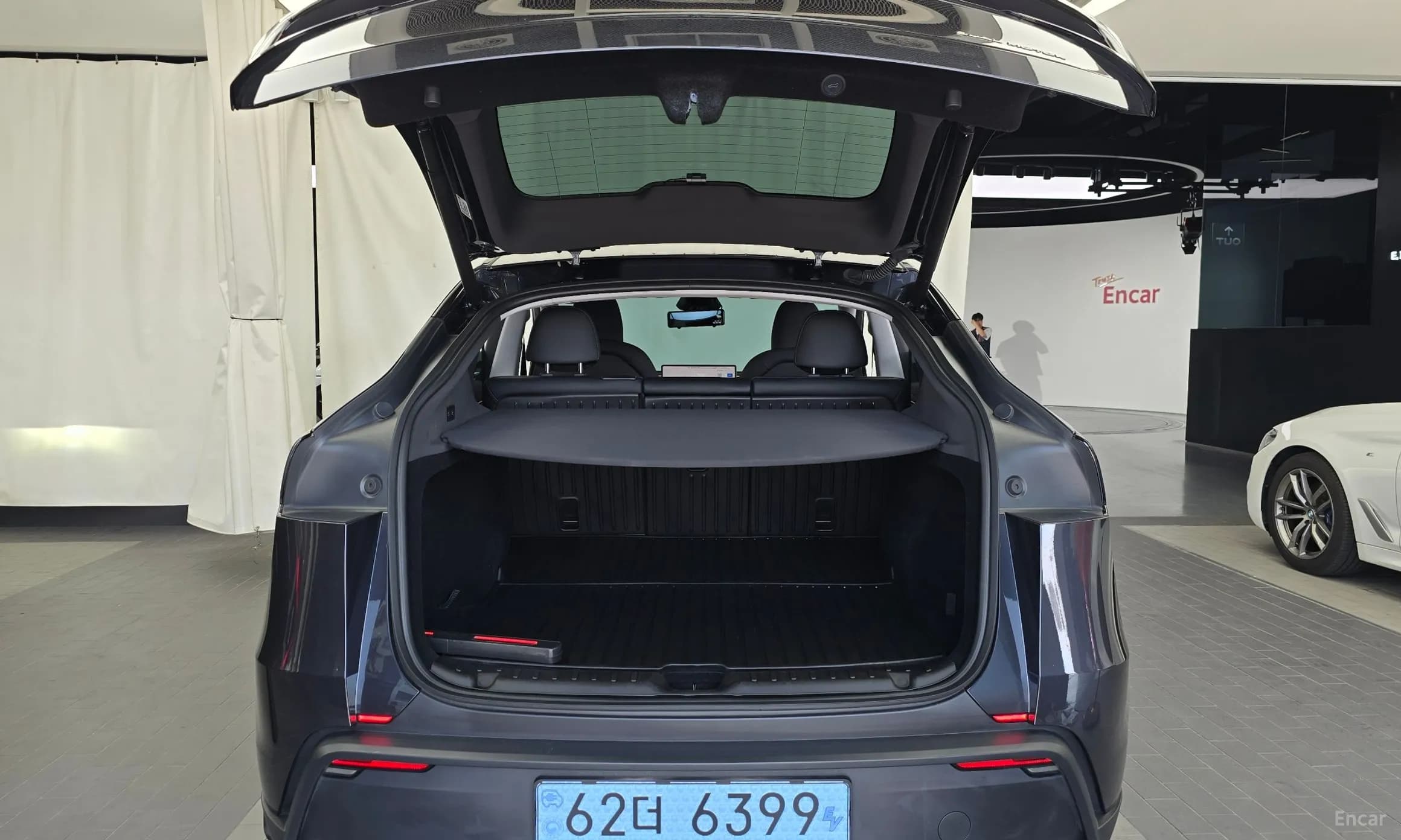 Model Y
