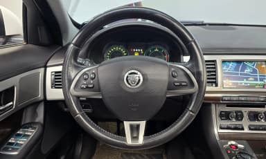 New XF