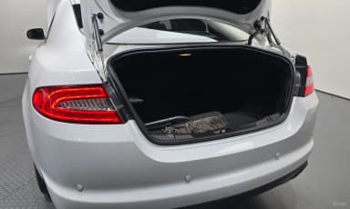 New XF
