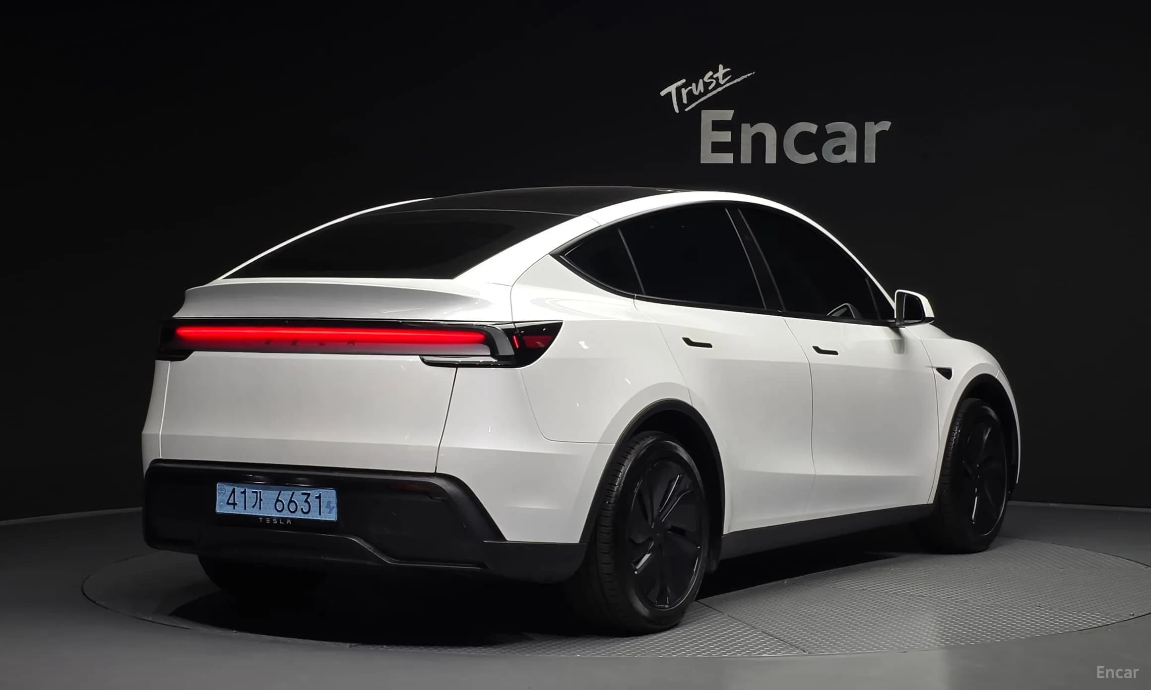 Model Y