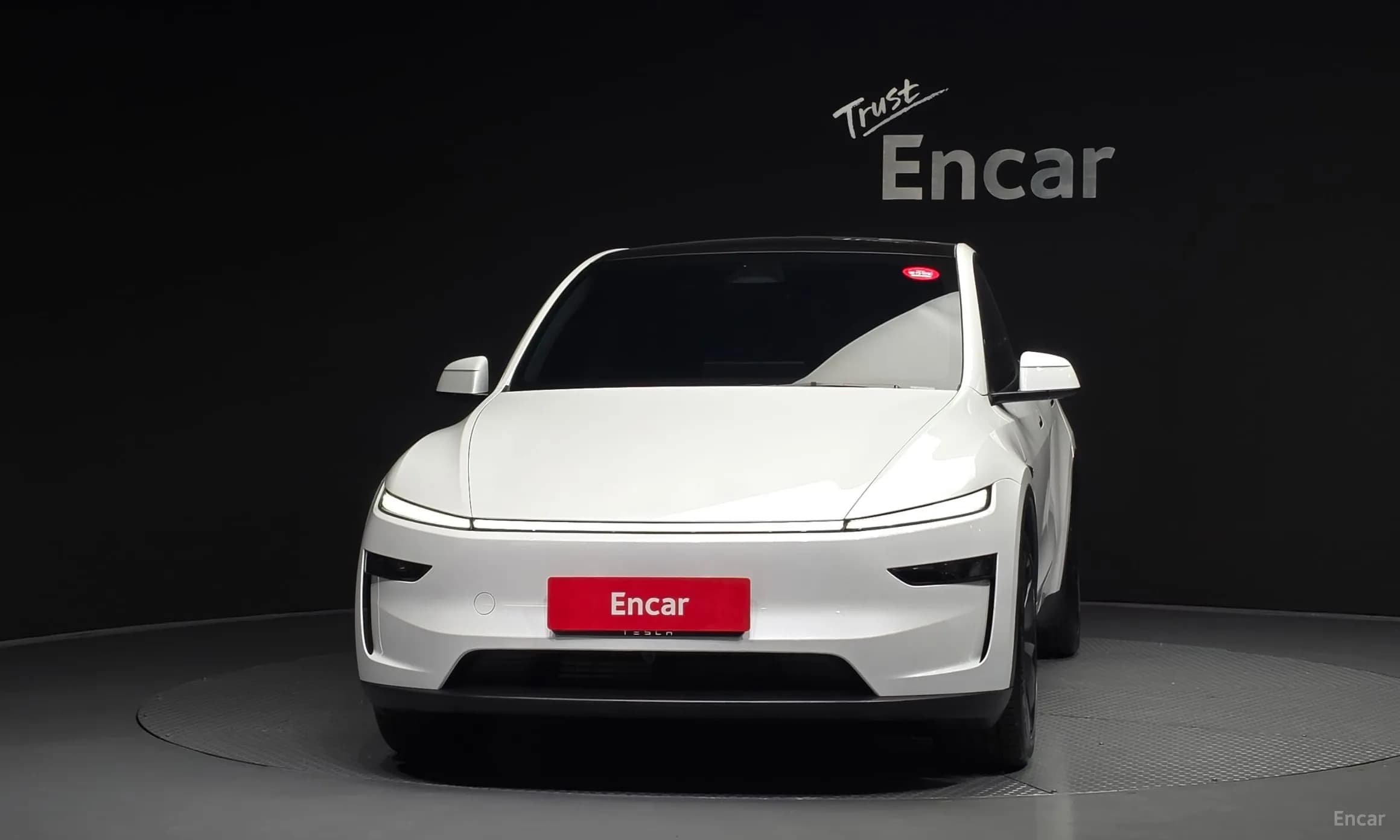 Model Y