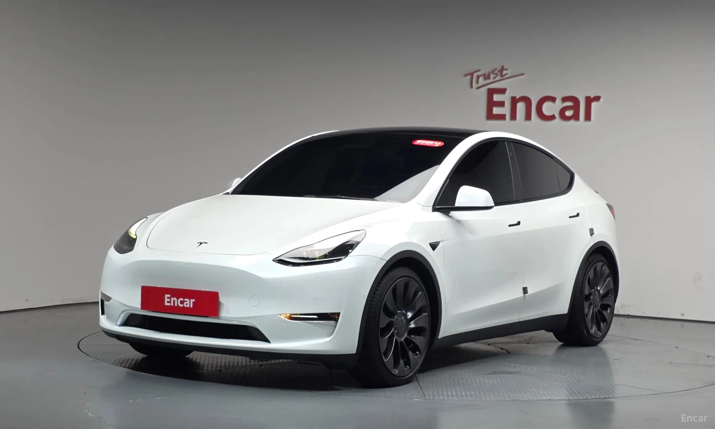 Model Y