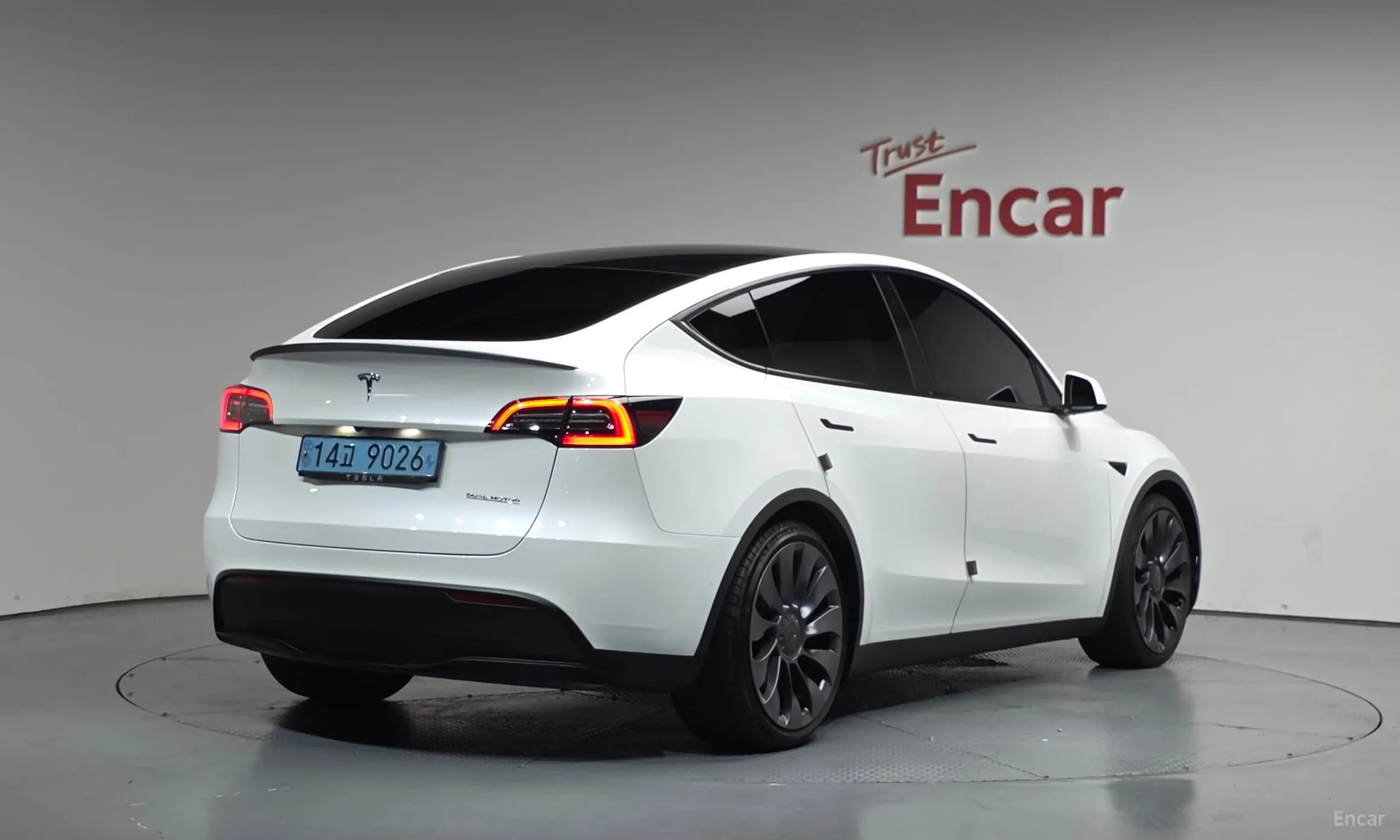 Model Y