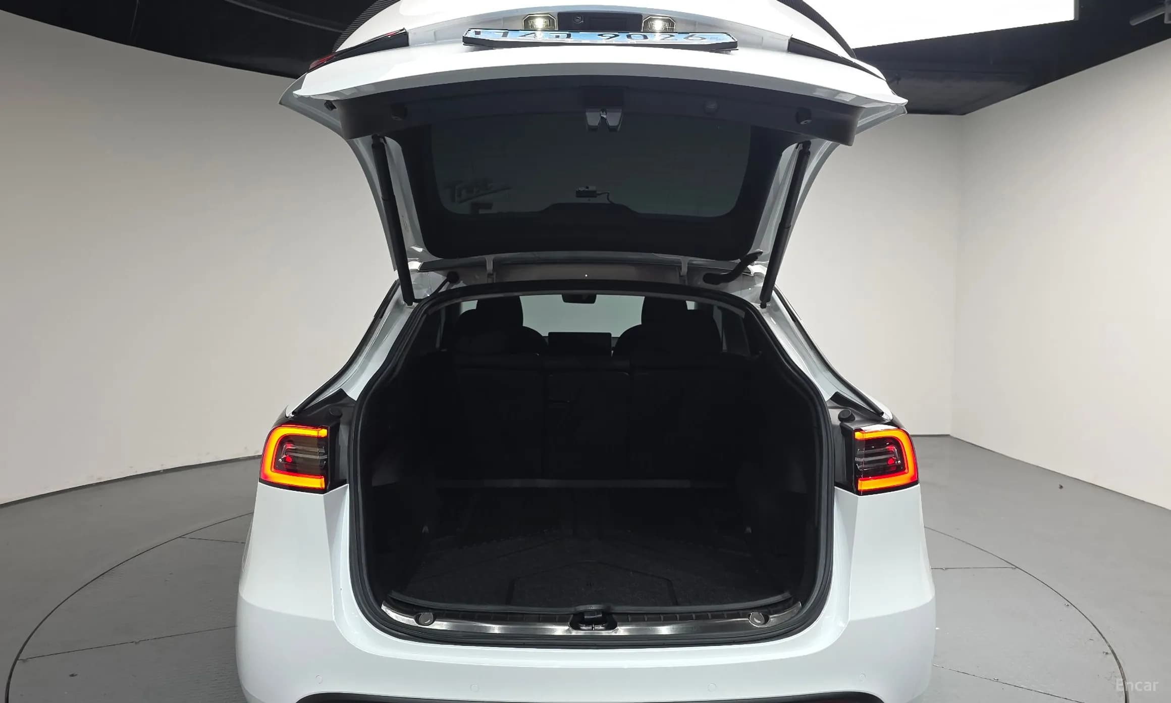 Model Y