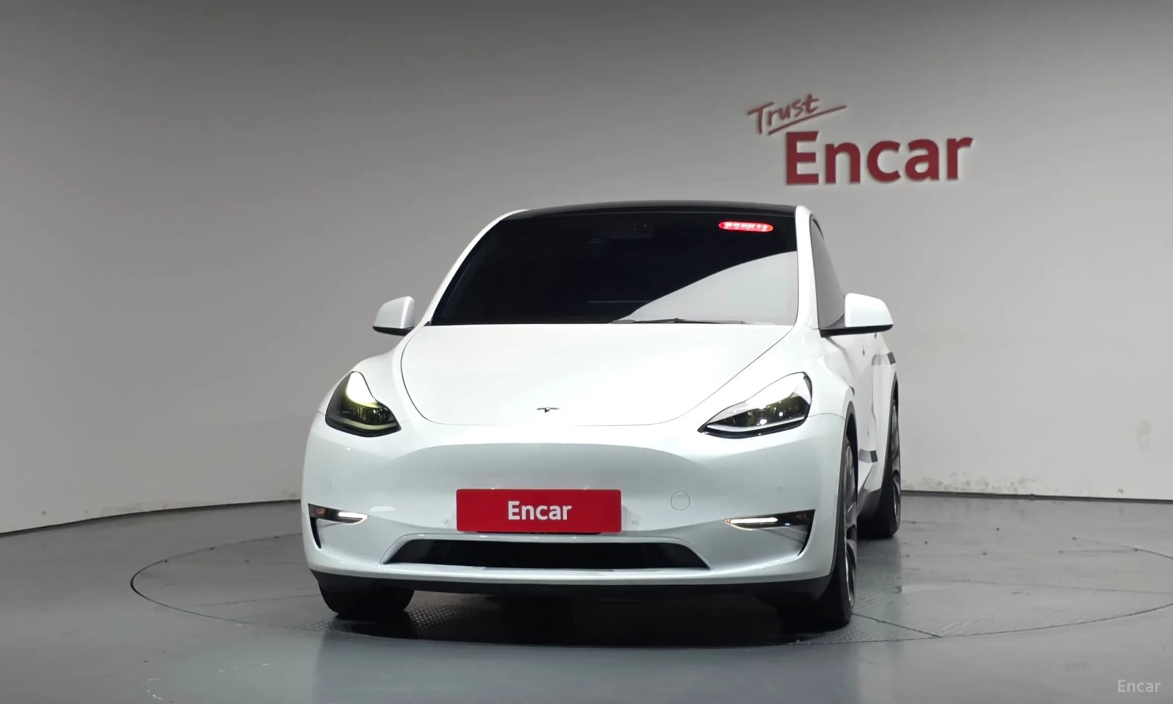 Model Y