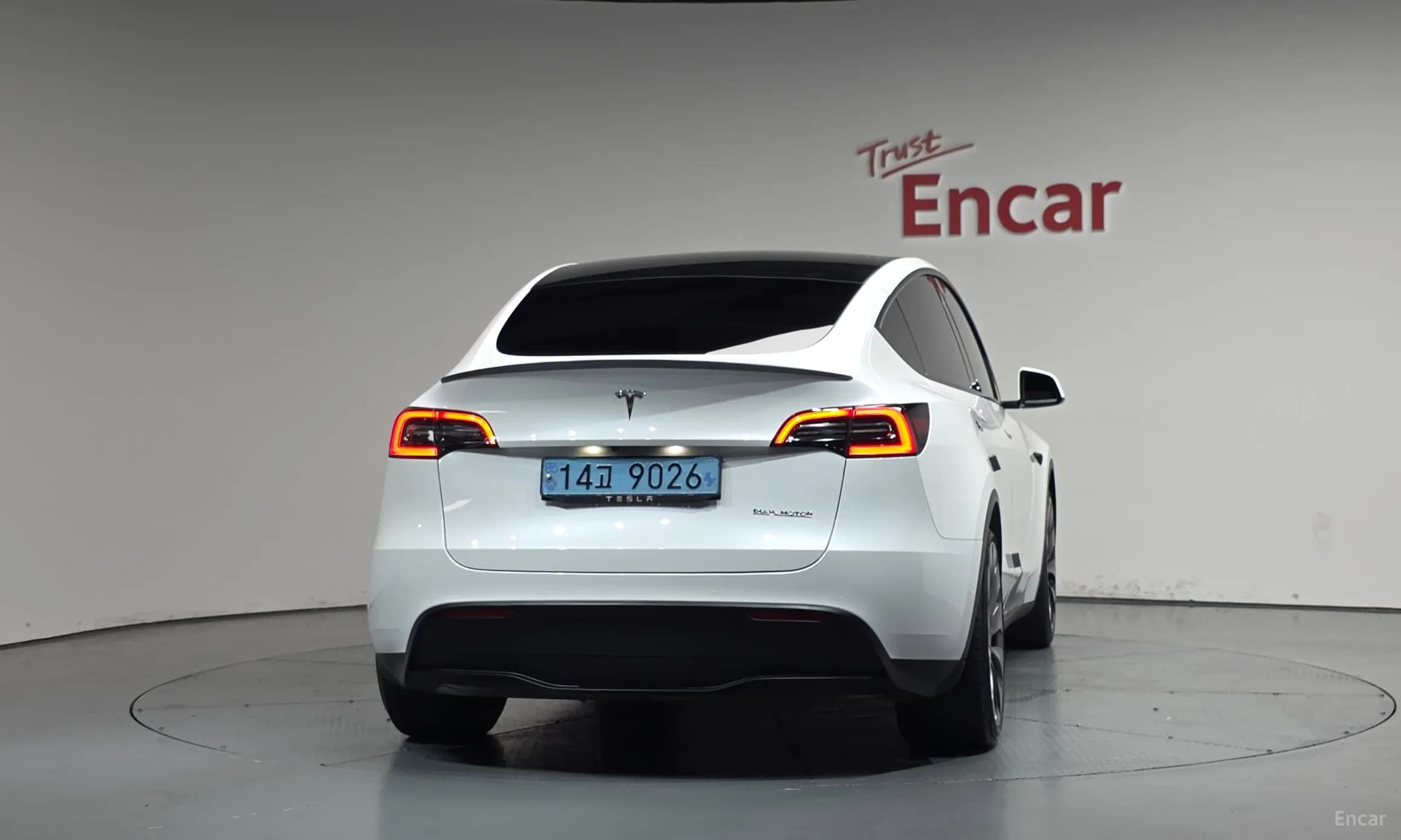 Model Y