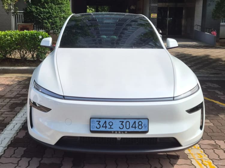 Model Y