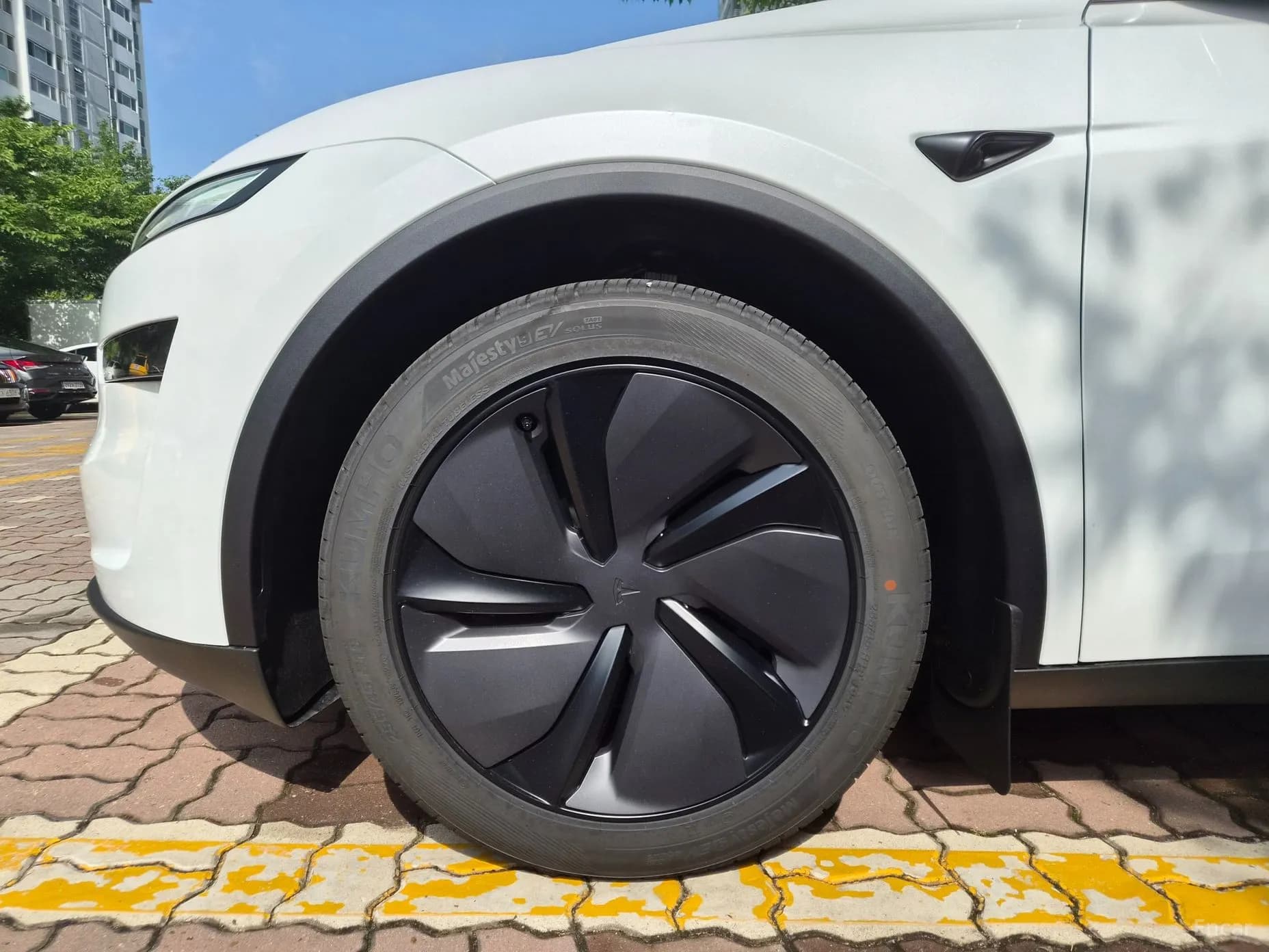 Model Y