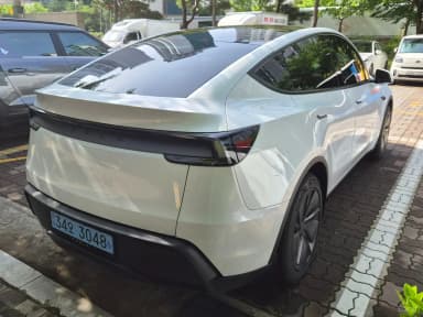 Model Y