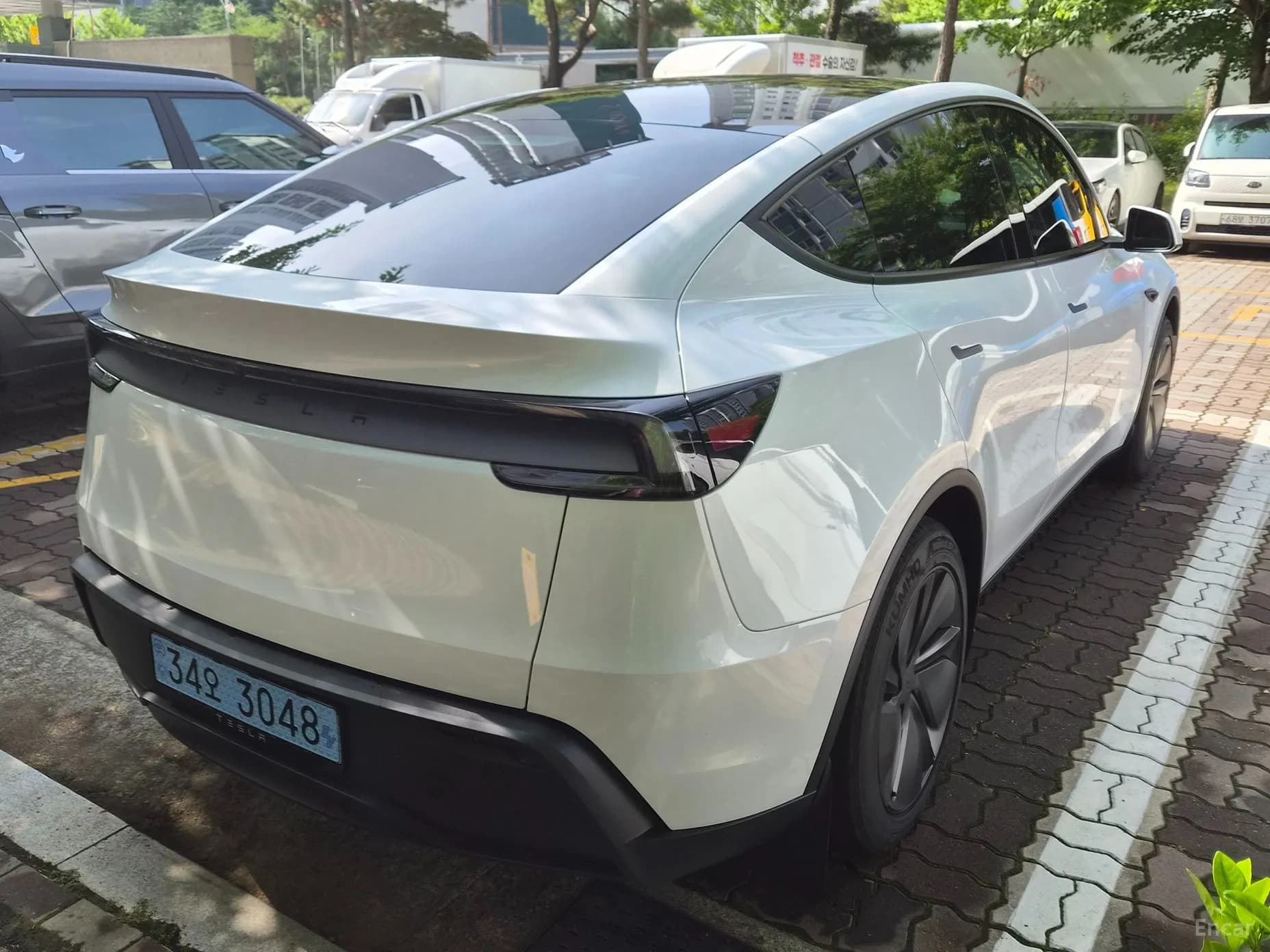 Model Y