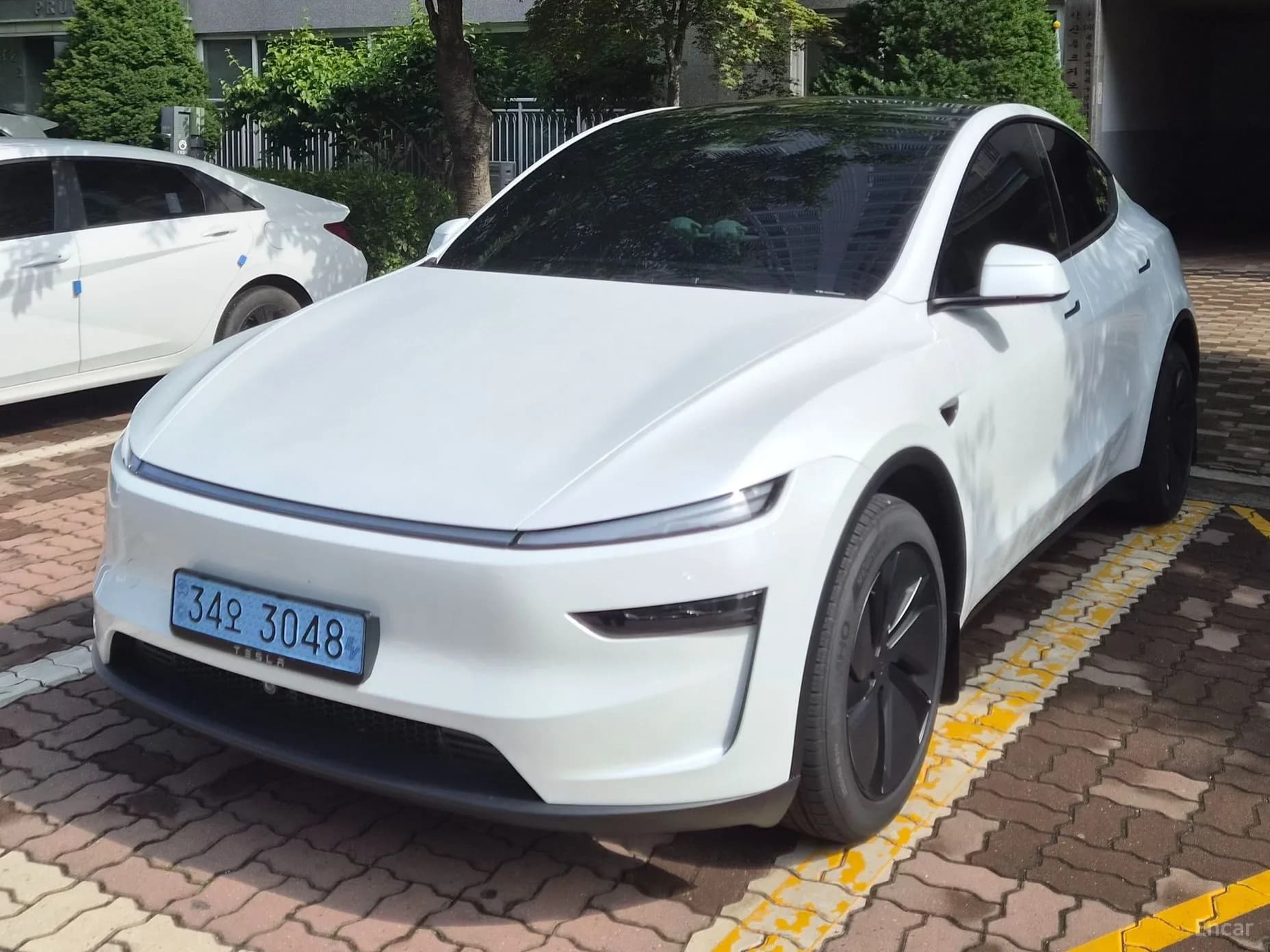 Model Y