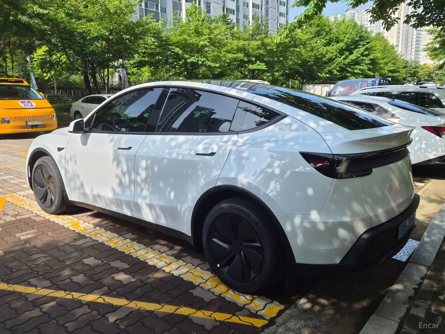 Model Y