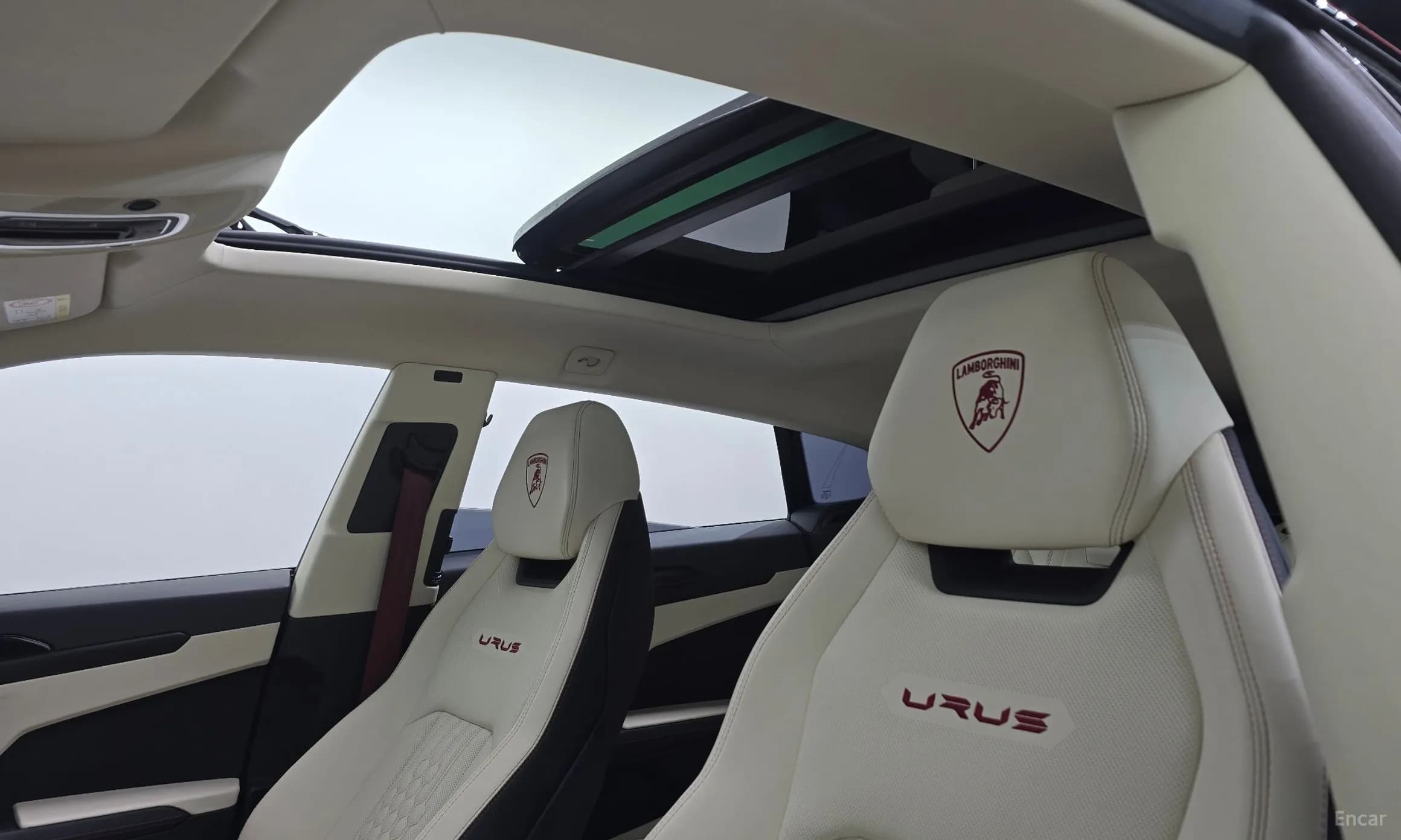 Urus