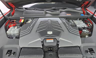 Urus