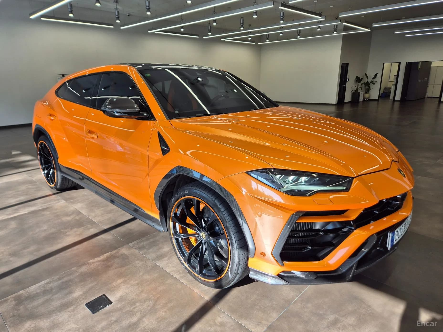 Urus