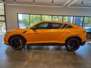 Urus