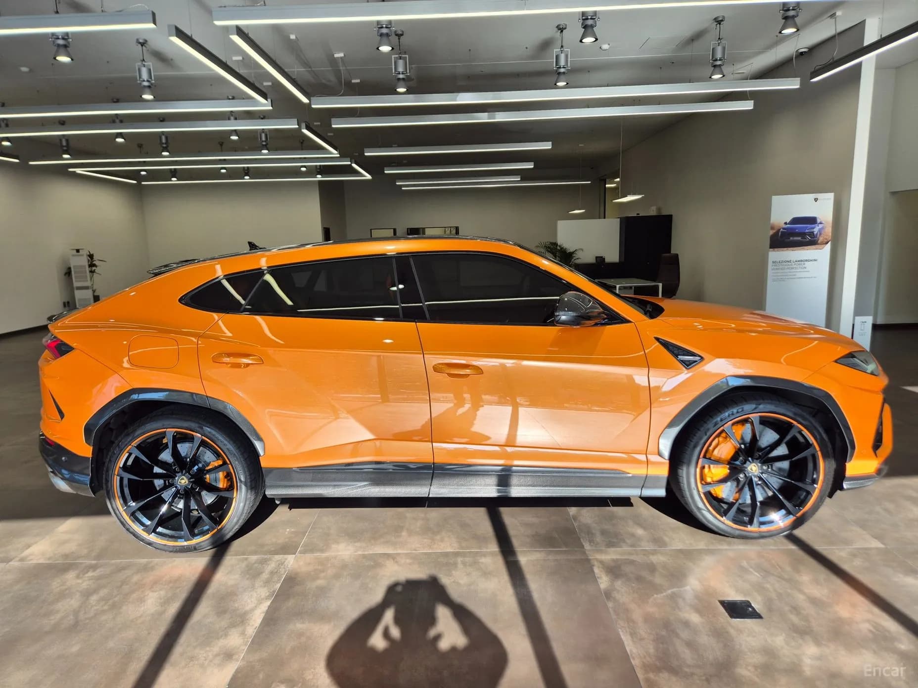 Urus