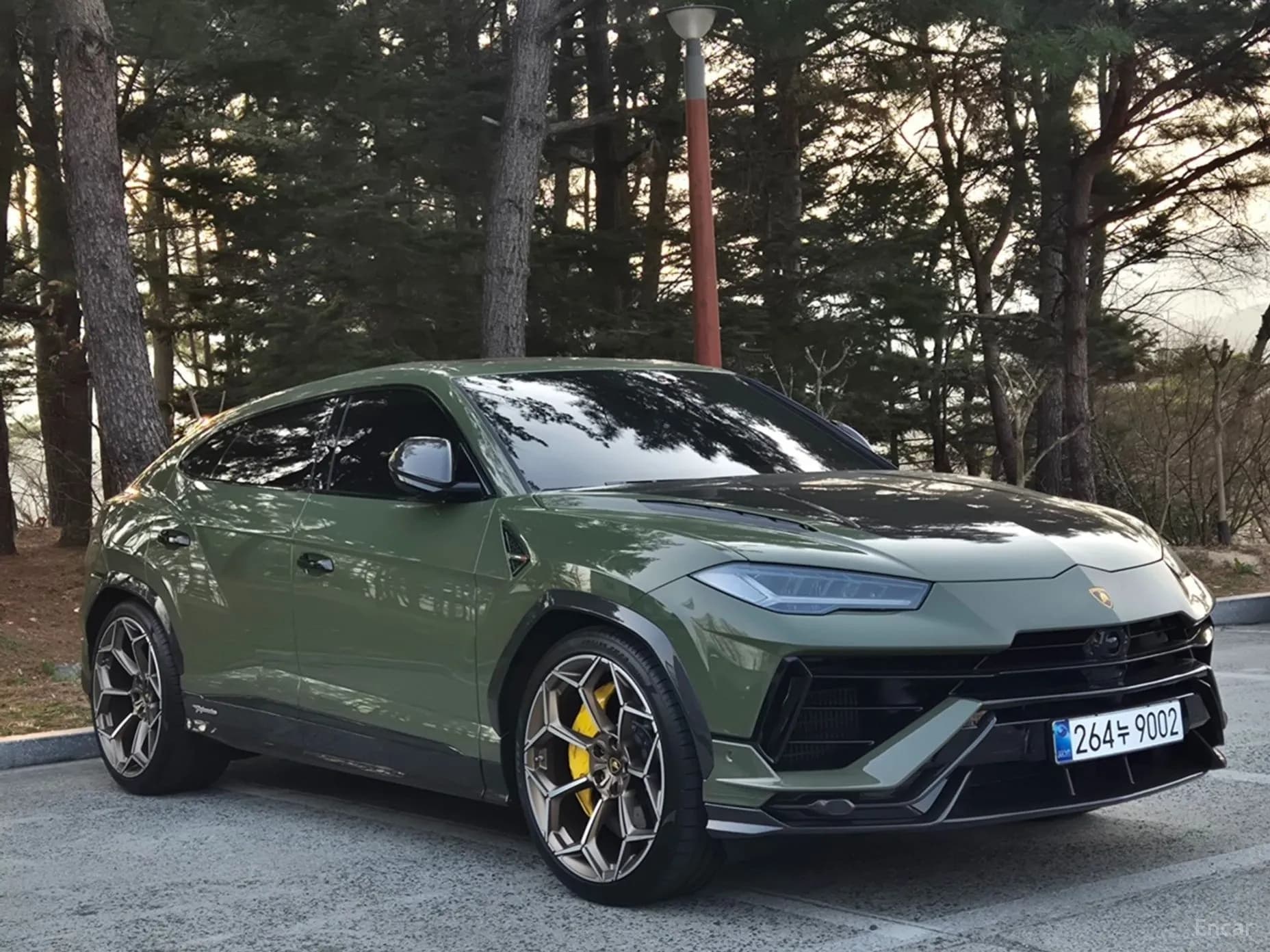 Urus