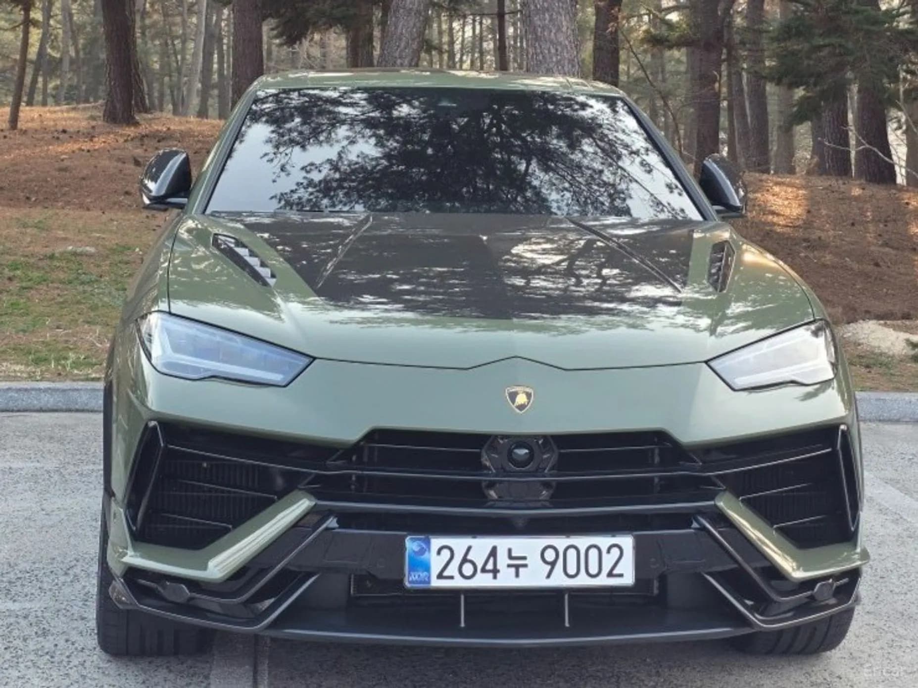 Urus