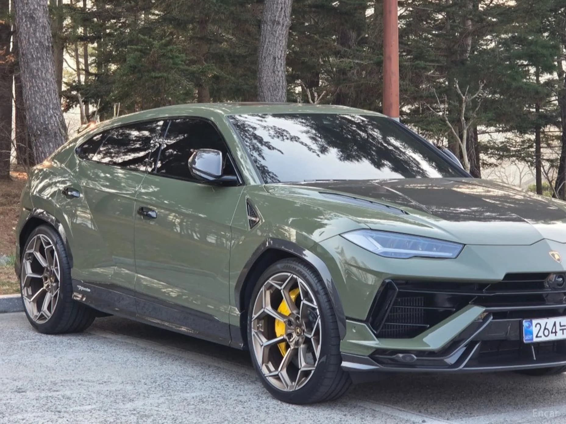 Urus