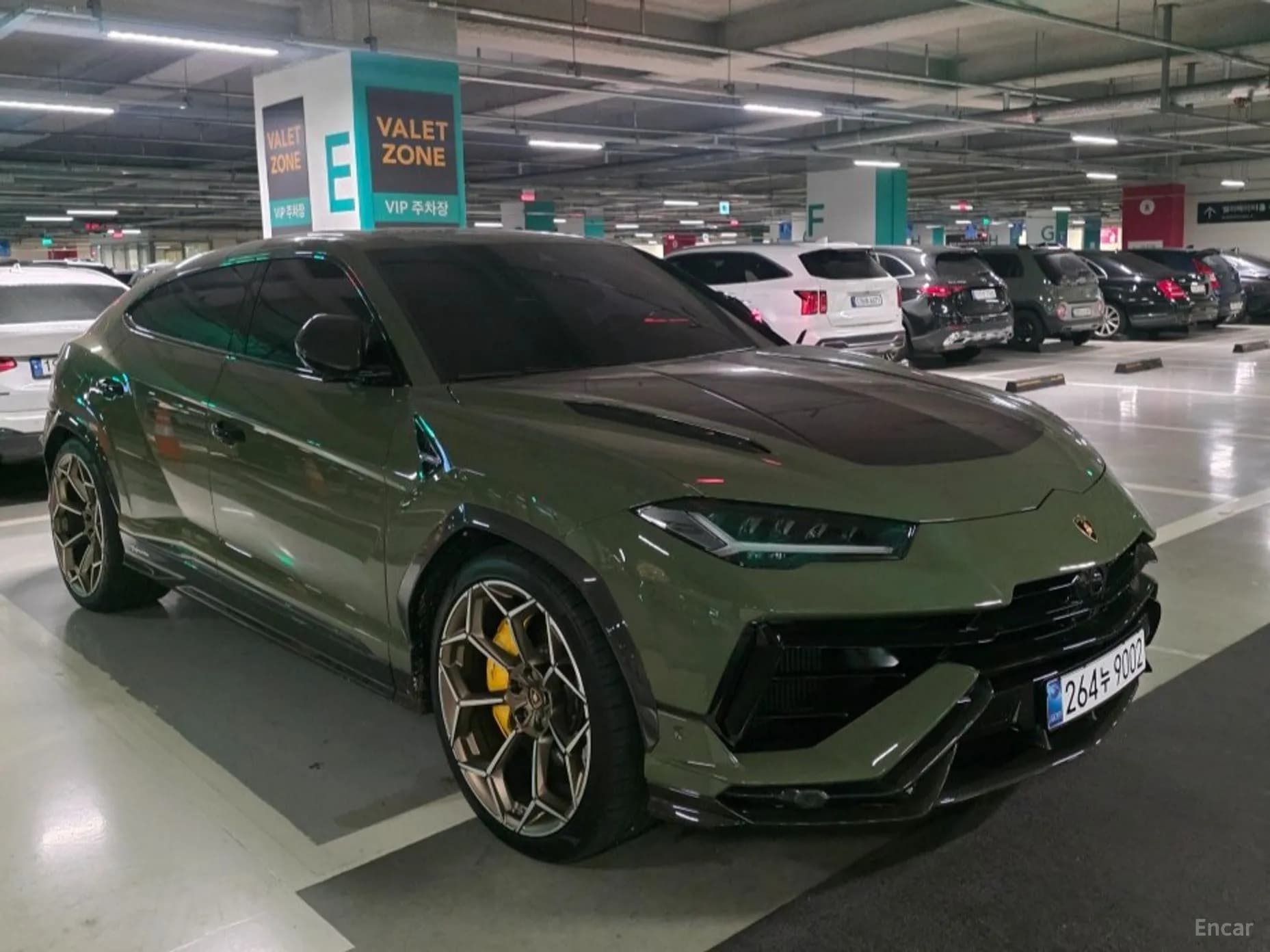Urus