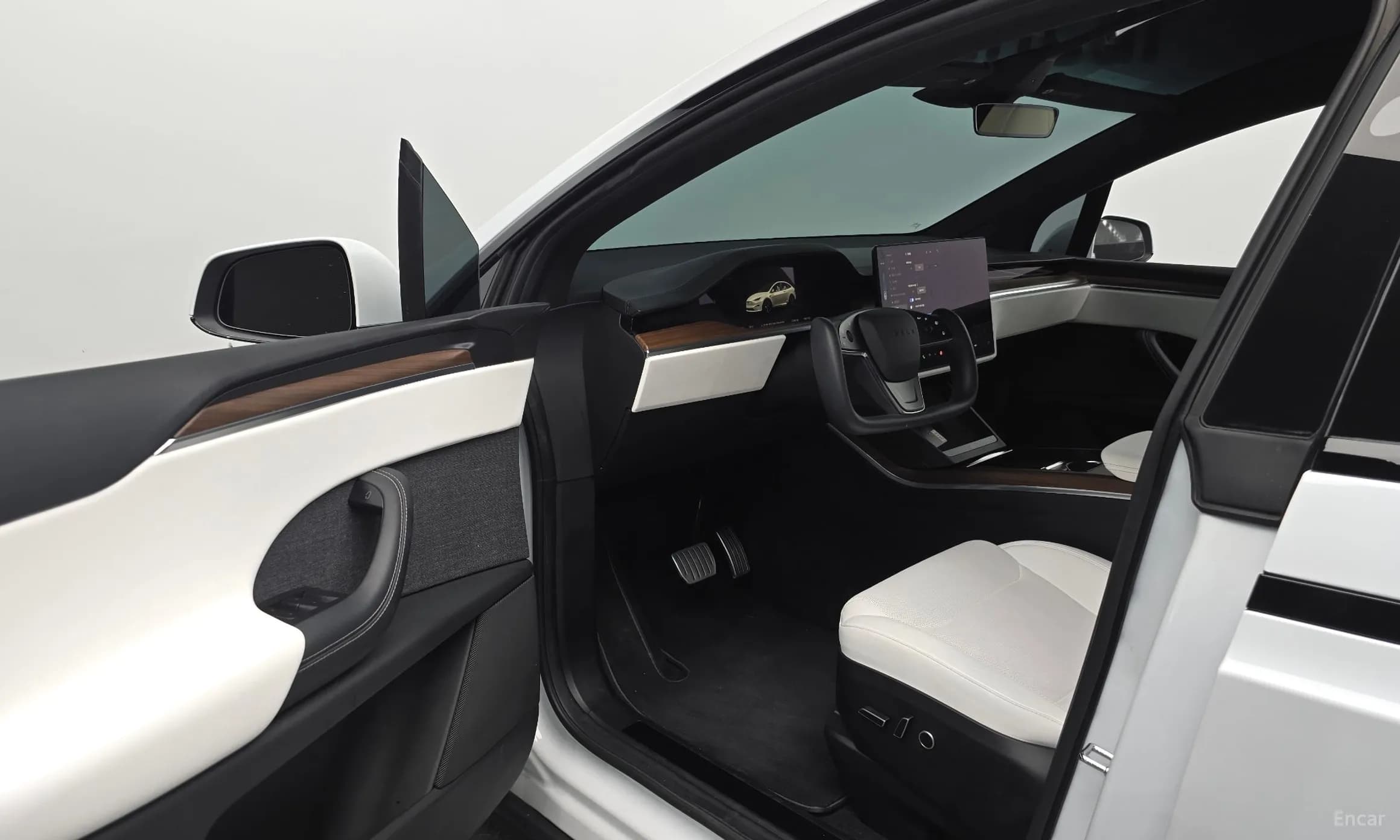 Model X