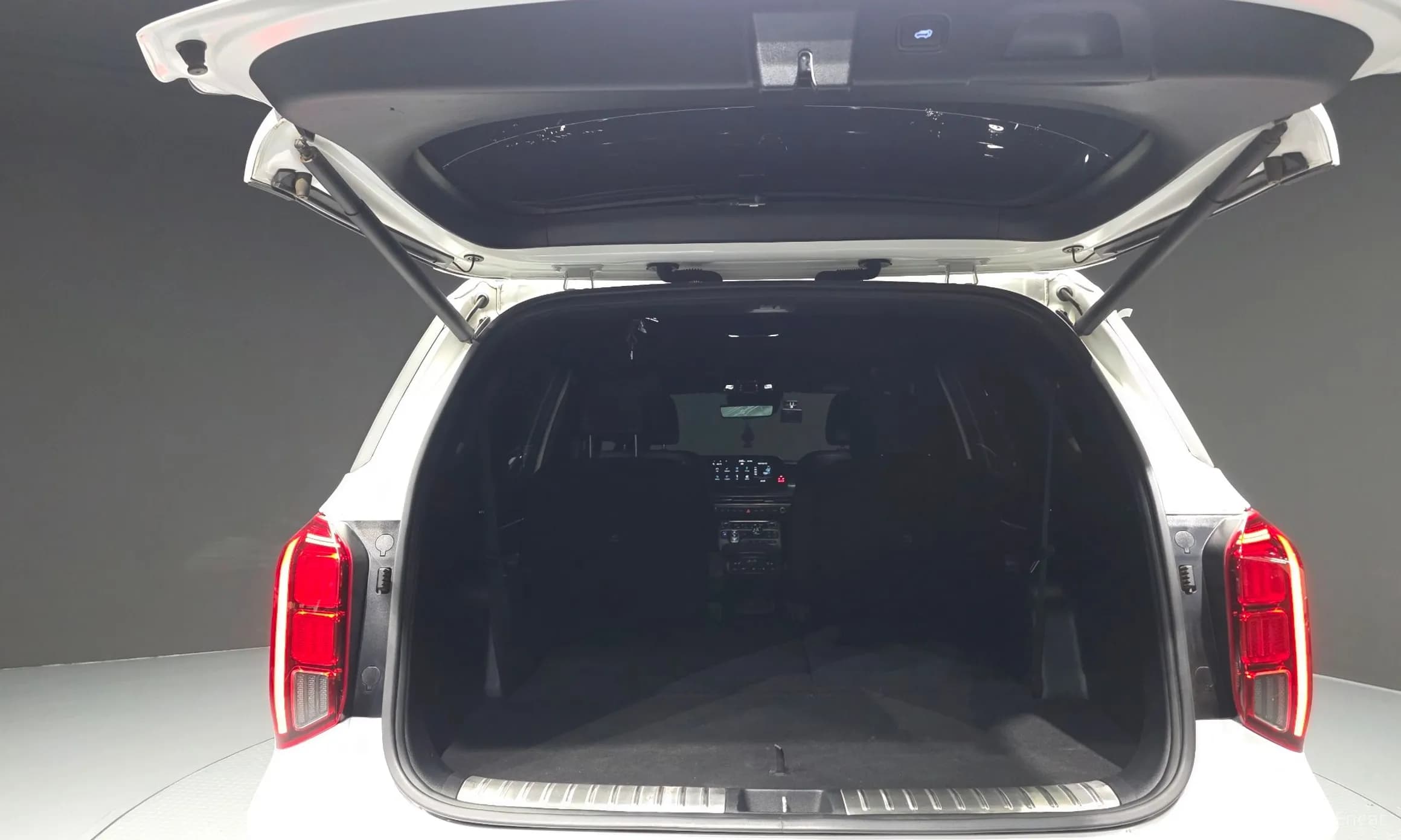 Palisade