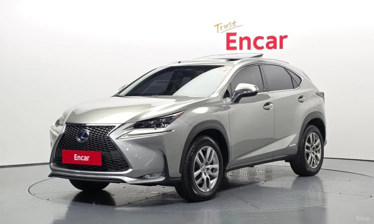 NX300h