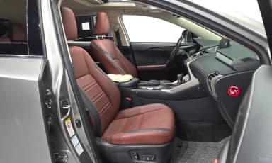 NX300h