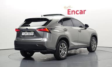 NX300h