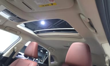 NX300h