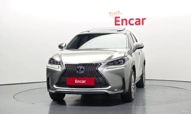 NX300h