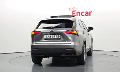 NX300h