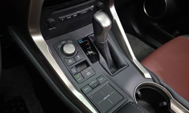 NX300h