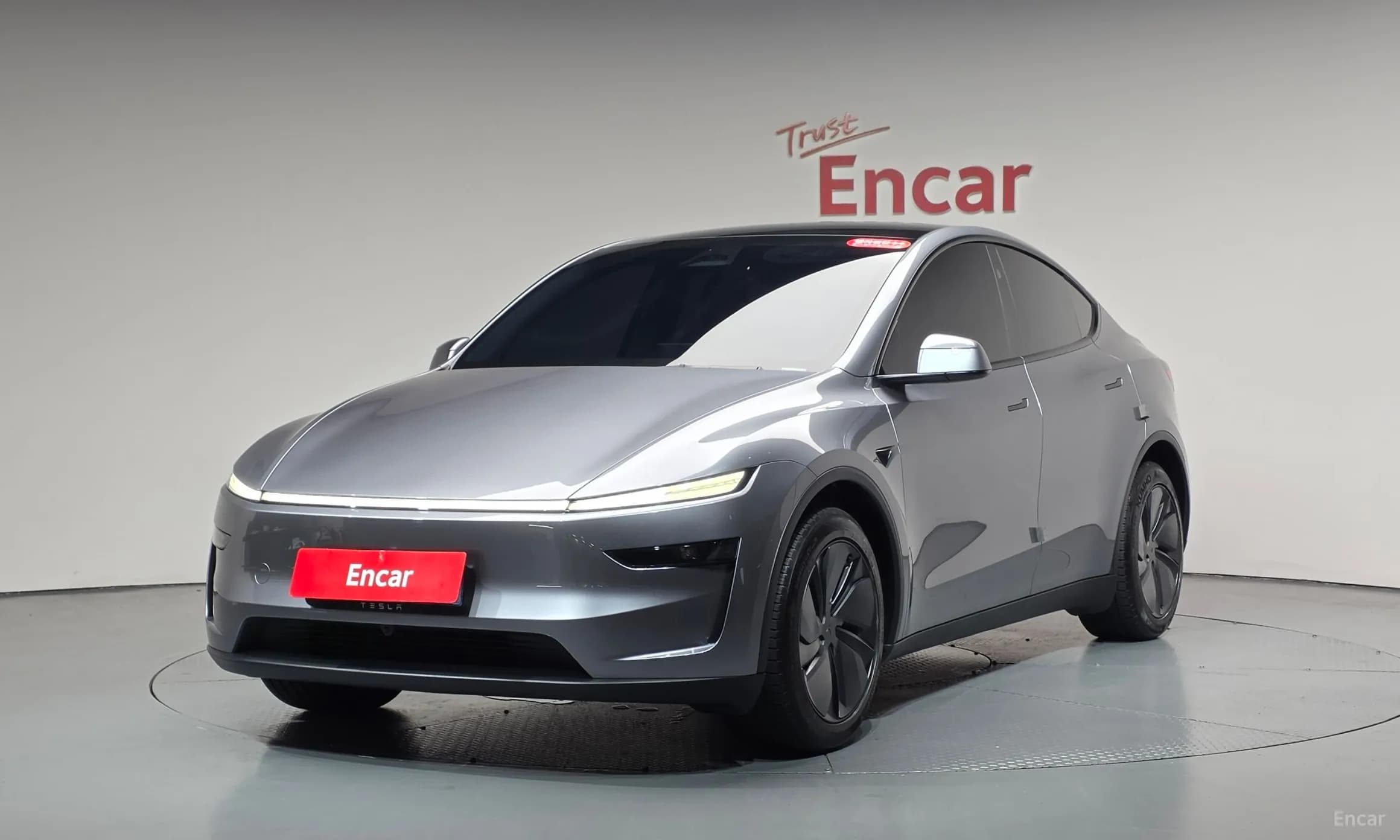 Model Y