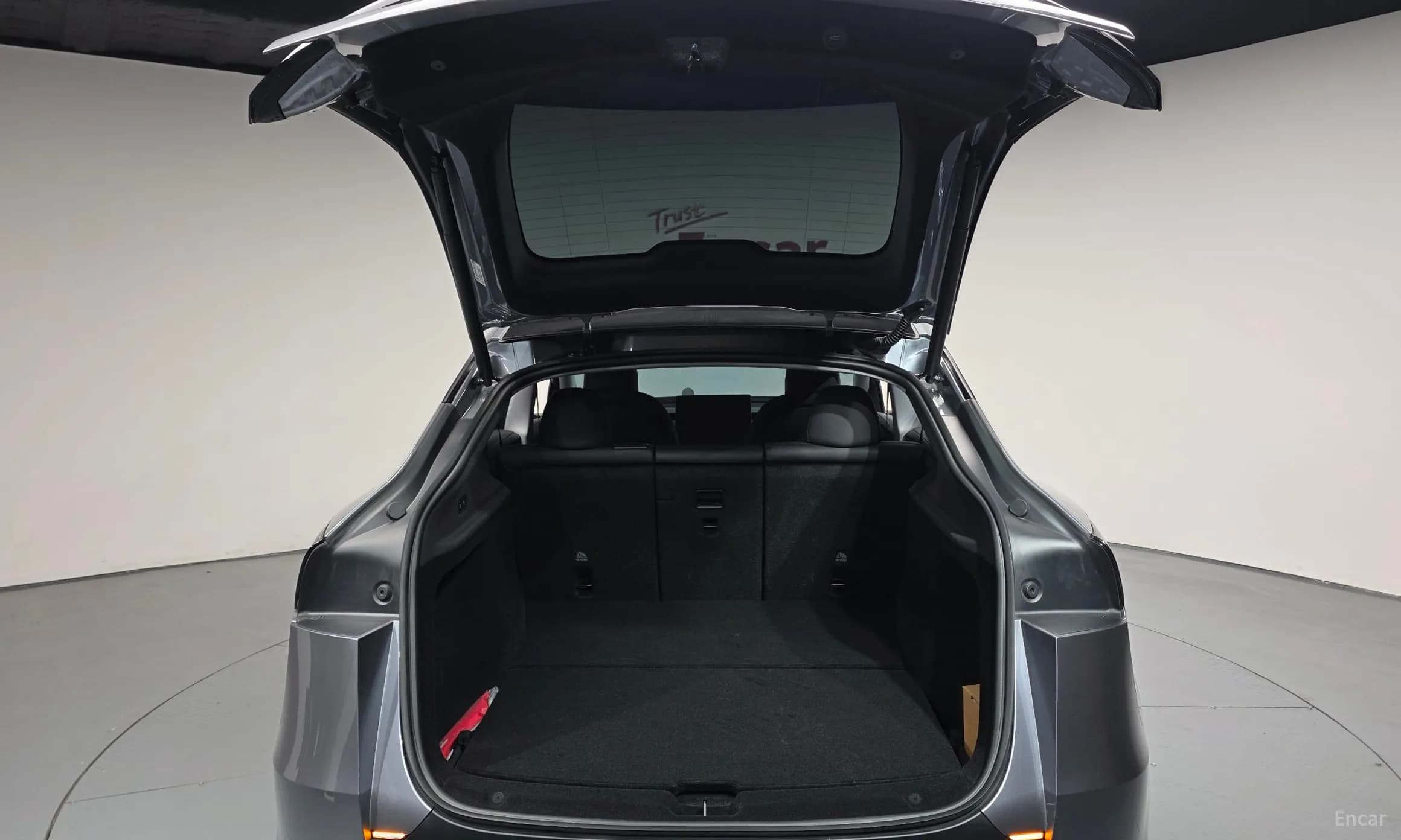 Model Y