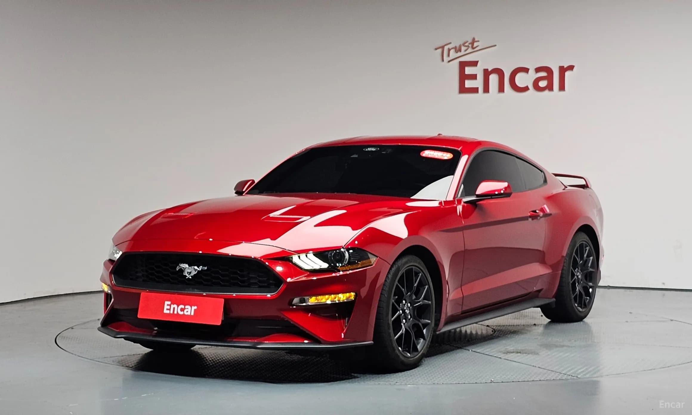 Mustang